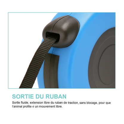 Laisse rétractable automatique pour chien – Double taille & système de freinage sécurisé