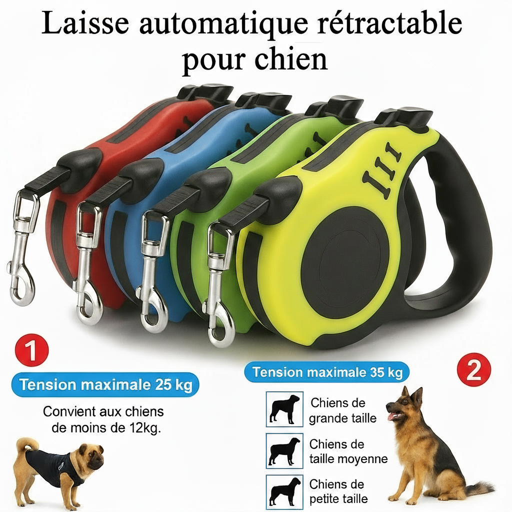 Laisse rétractable automatique pour chien – Double taille & système de freinage sécurisé