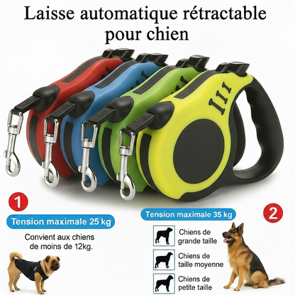 Laisse rétractable automatique pour chien – Double taille & système de freinage sécurisé