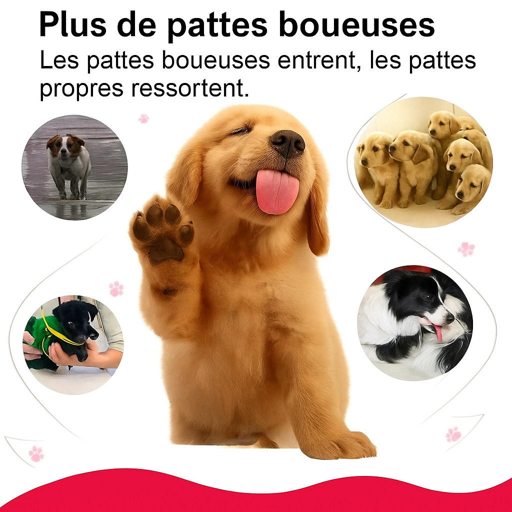 Nettoyeur de pattes pour chien et chat – Garde votre maison propre et vos compagnons heureux !