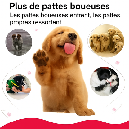 Nettoyeur de pattes pour chien et chat – Garde votre maison propre et vos compagnons heureux !
