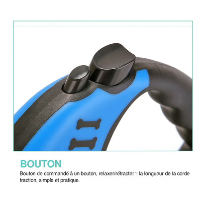 Laisse rétractable automatique pour chien – Double taille & système de freinage sécurisé