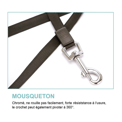 Laisse rétractable automatique pour chien – Double taille & système de freinage sécurisé