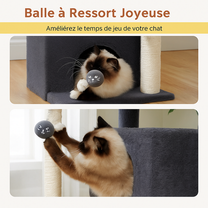 Arbre à chat XL – Tour d’intérieur pour grands chats (jusqu’à 10 kg)