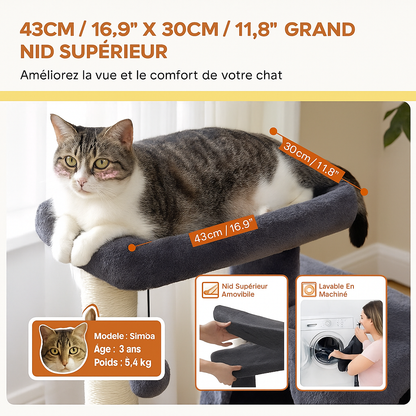 Arbre à chat XL – Tour d’intérieur pour grands chats (jusqu’à 10 kg)